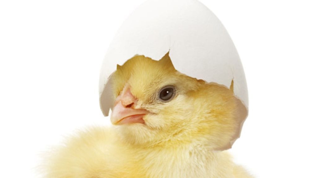 Kuva: Future Image Bank