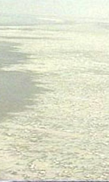 Aral-järvi, valkoisia suolalaikkia