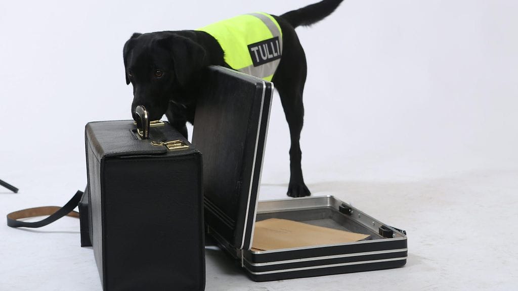 Huumeista kärähtävä saattaa pitää pientä määrää mukanaan esimerkiksi tullessaan maahan. Kuvituskuva.