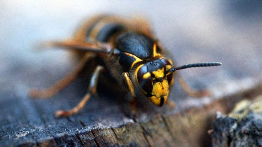 Kuvituskuva. Kuva ei liity uutiseen.