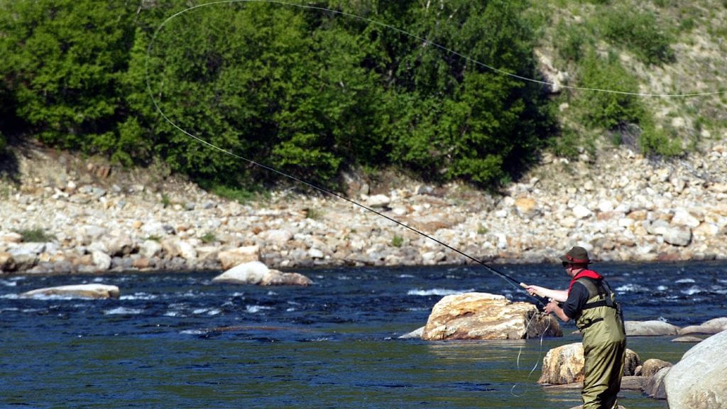 Lohen perhokalastaja Tenojoen Yläkönkäällä.