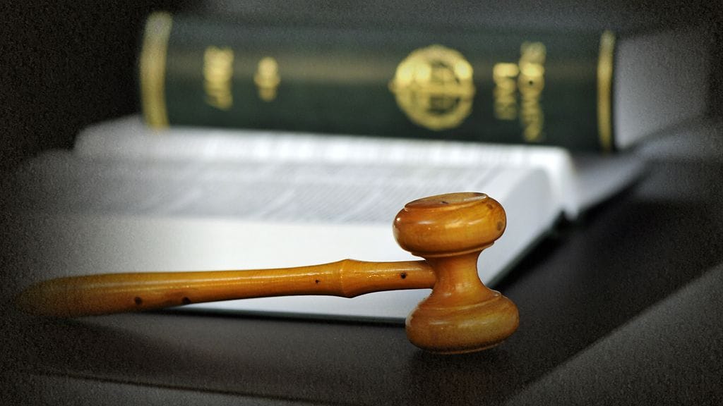 Tuomarikunta myös naisistuu voimakkaasti. Miesten osuus tuomareista oli 60 ja naisten 40 prosenttia vuonna 2005. Naisten osuus on tämän jälkeen kasvanut ja nousi 54 prosenttiin toissa vuonna.