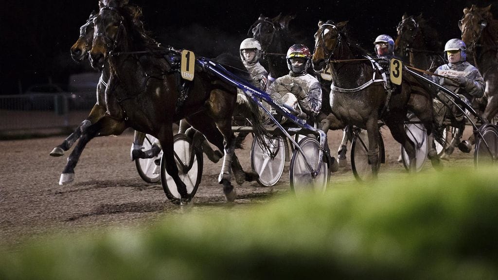 Mika Forss ohjastaa El Catwalkilla Vermossa tamman voiton numero 19.