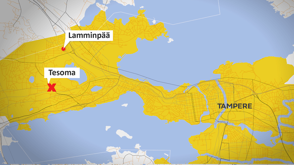 Tesoman henkirikos ja Lamminpään puukotusyritys.