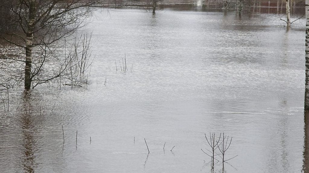 Kuvituskuva tulvivasta joesta.