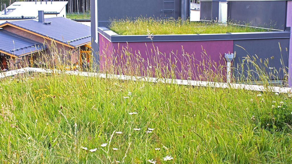 Ketokatto on täysin huoltovapaa.