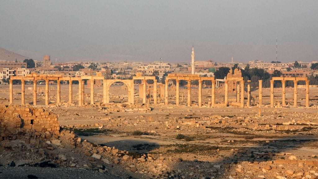 palmyra