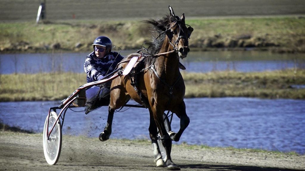 MTV Sportin asiantuntija nostaa parhaaksi Oulu Express -muistokseen vuoden 1999 voittajan, BWT Magicin.