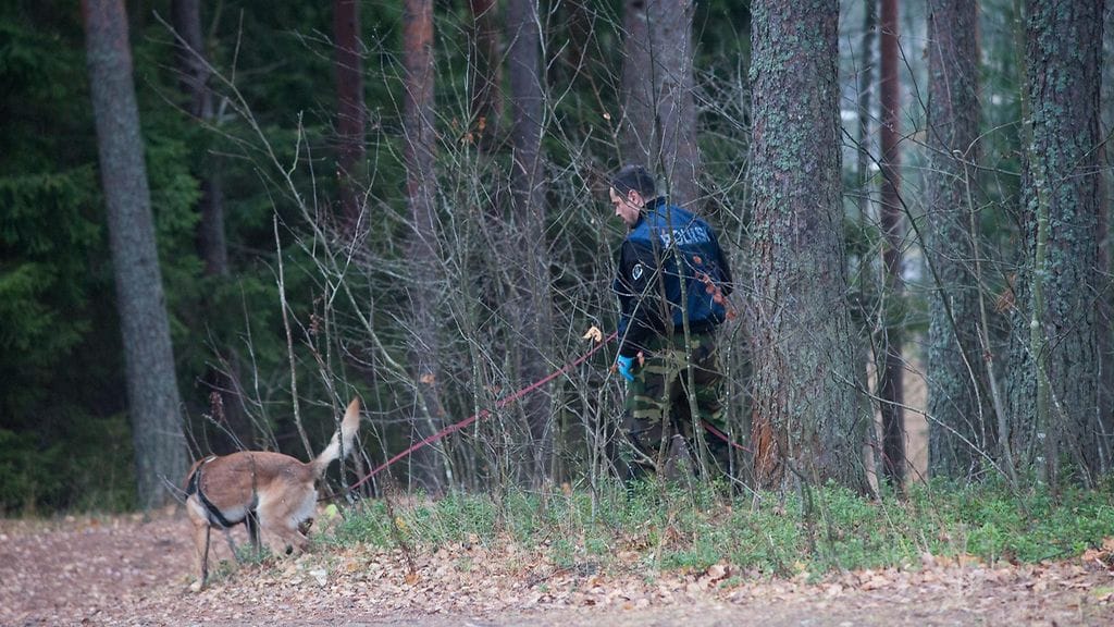 Poliisi haravoi koiran kanssa nuorisotalo Rientolan pihapiiristä alkavaa metsärinnettä Joutsenossa, Lappeenrannassa sunnuntaina aamulla 1. marraskuuta 2015.
