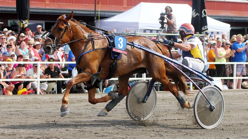 Mokomani ei saanut Jukka-Pekka Kauhasen kanssa muista vastusta sen enempää tänään Oulussa kuin vuosi sitten Porissa kuningatarkisan mailin osakilpailussa.