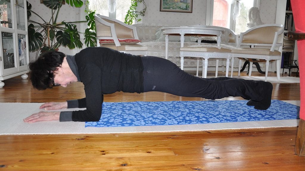 KERTAJULKAISUOIKEUS 5.12.2015 Eila Simola