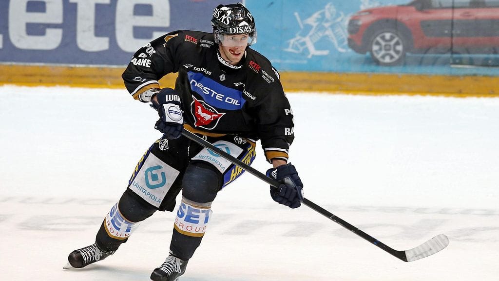 kim hirschovits, Kärpät