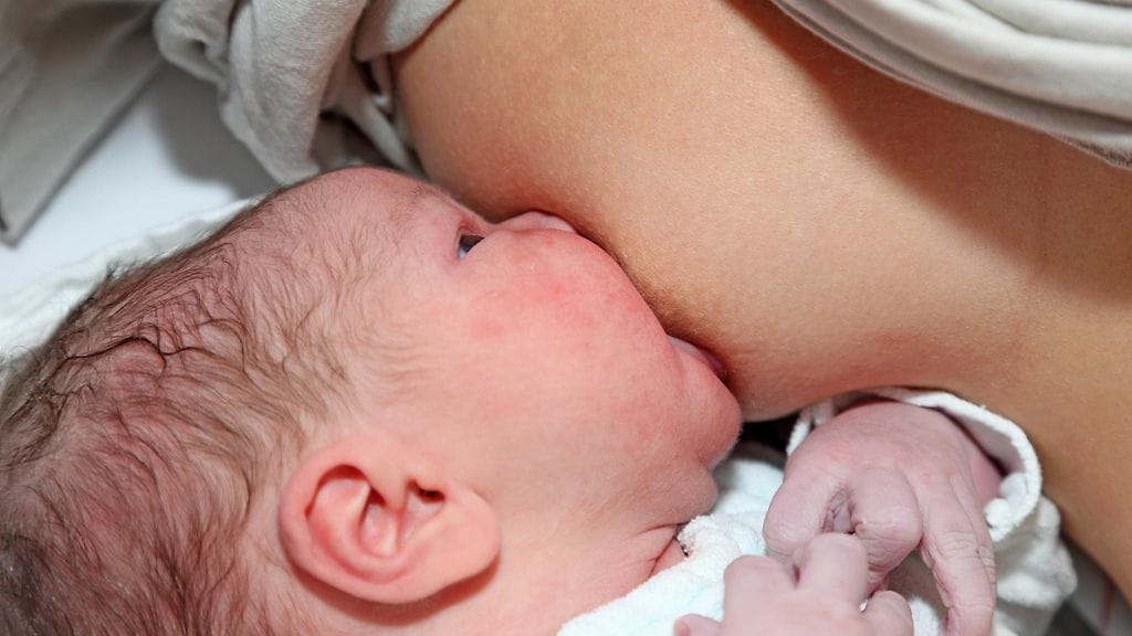 Rintojen solut alkavat tuhoutua jo muutama päivä imetyksen lopettamisen jälkeen.