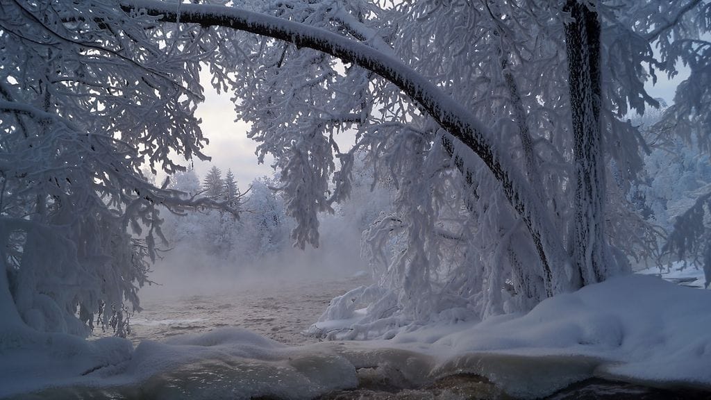 Lukijan kuva: Maarit Siitonen