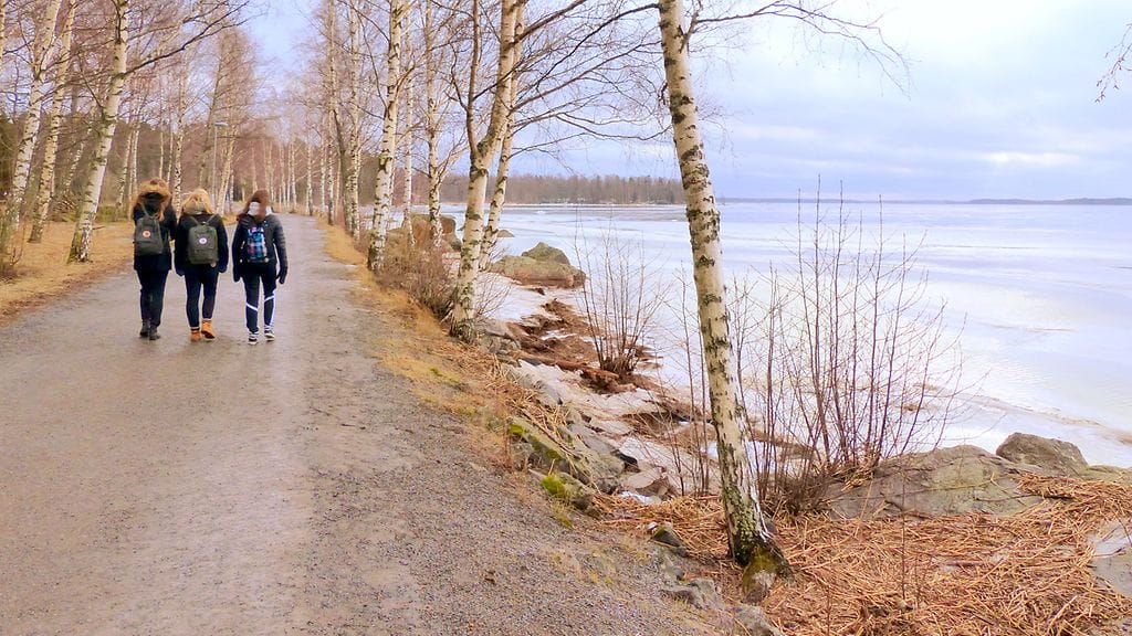 Talvi oli keskimääräistä lauhempi. Maa oli lähes lumeton Vaasassa 8. helmikuuta 2016. Kuva: Matti Hietala