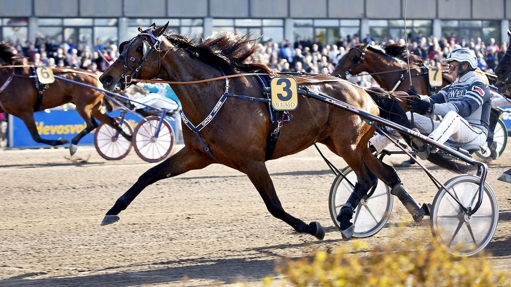 Bret Boko ja Ari Moilanen juhlivat viime vuonna Finlandia-ajon voittoa.
