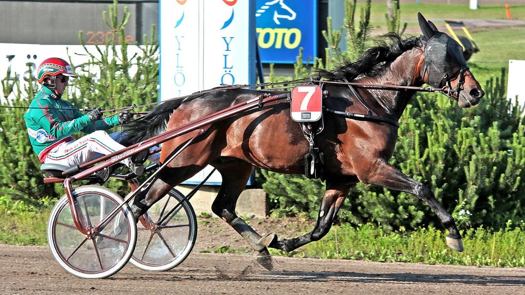 Daniel Roff saalisti Tampereelta viime vuonna kaksi voittoa Hannu Torvisen ohjastamana. Tänään kyytiin hyppää Jukka Torvinen.