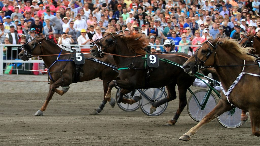 Evartti (vas.) kiri voittoon myös edellisessä startissaan, joka oli Pikkukunkku-suurkilpailu Kuninkuusravien yhteydessä Turussa.