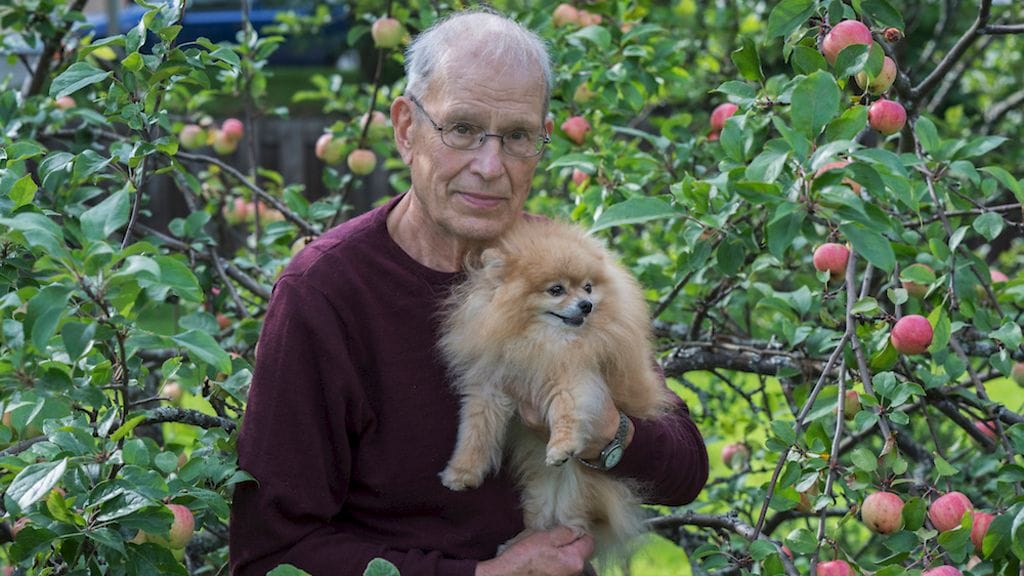 Kokoelmalahjoituksen myötä Tuomo Sepon kokoelmalle muodostuu valtakunnallisesti tärkeä rooli suomalaisen kulttuuriperinnön rakentajana, kertoo museonjohtaja Susanna Pettersson. Kuvassa myös Mikko-koira.