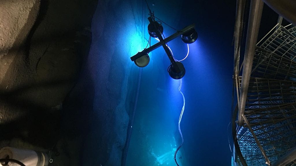 Maanalainen verkosto