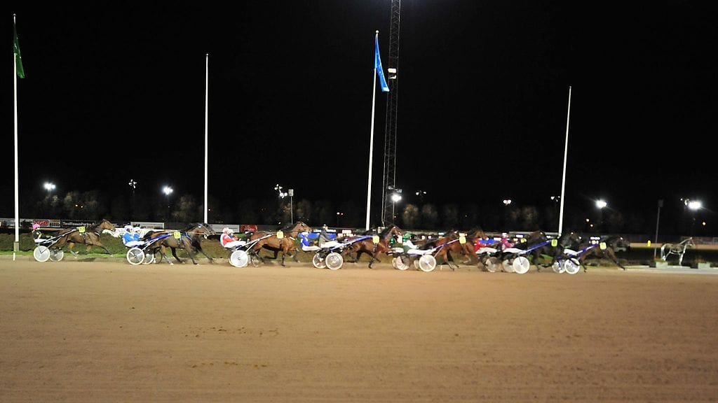 MTV:n kanavilla tarjoillaan raveja kuutena päivänä viikossa maanantaista lauantaihin.