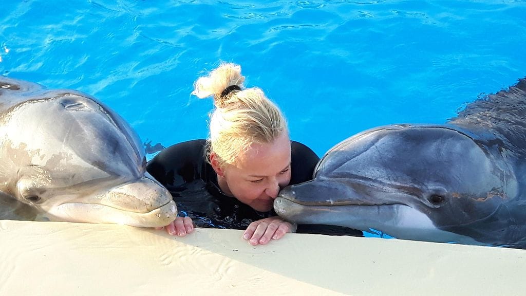 Leevi ja Eevertti -delfiinit