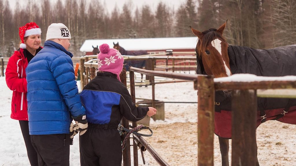 Kiikun tallilla valmistaudutaan jouluun.