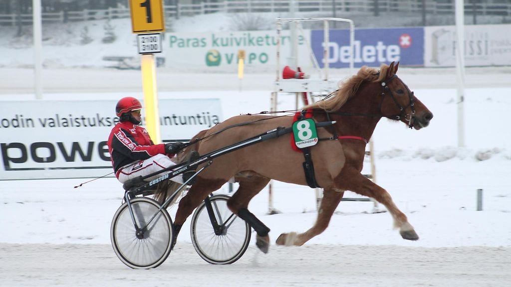 Sisuvius juoksee Toto76-pelin avauskohteessa.