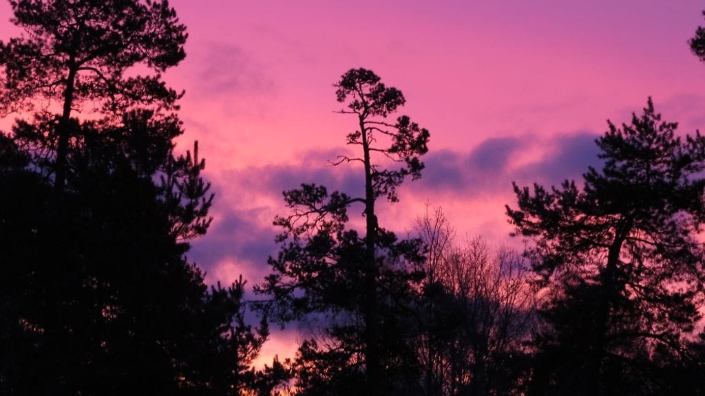 kuvat 2017 - 039 008 – Kopio PE