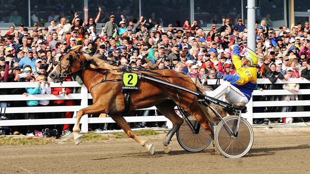 I.P. Vipotiina ravasi Pertti Puikkoselle kolmen ravikuningattaren seppelettä.