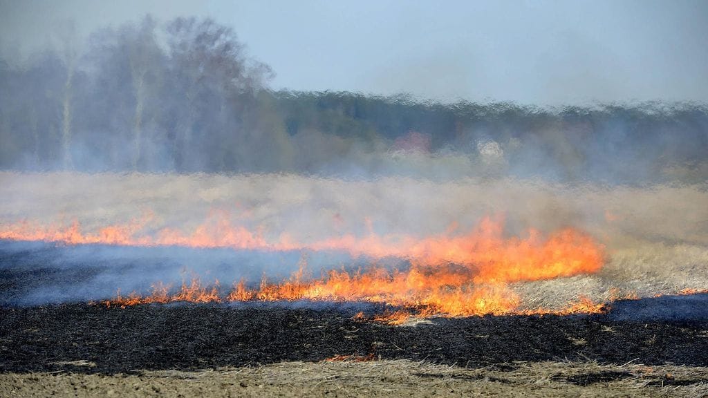 Kuvituskuvassa hallittua kulotusta Elimäellä.