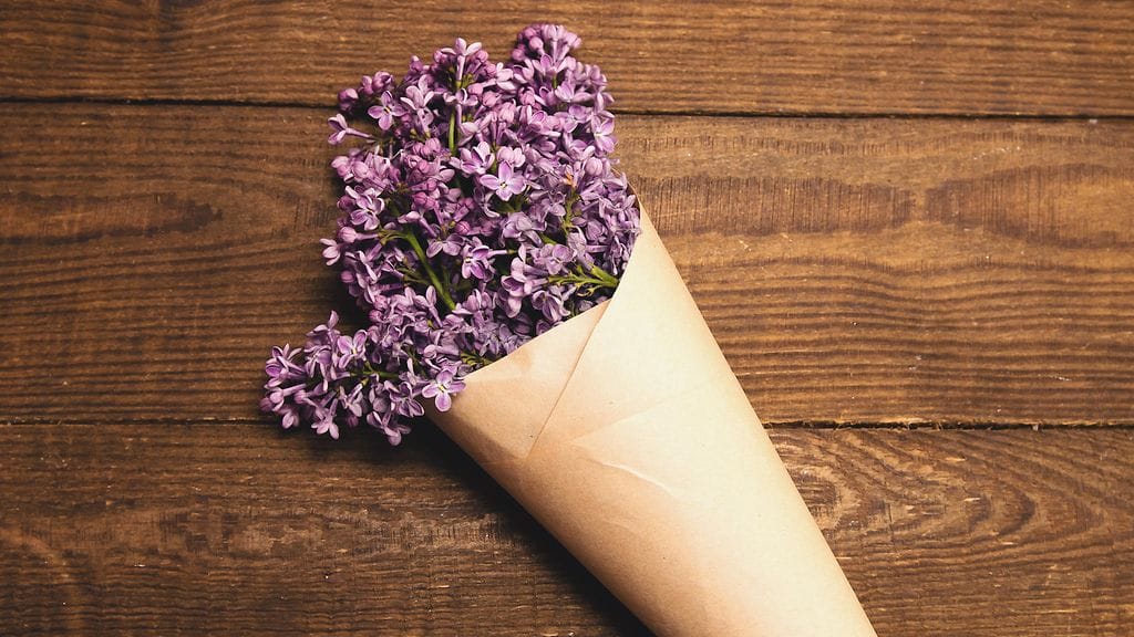 Kuvituskuva. Kaupasta lähtikin mukaan jotain muuta kuin kukkia.