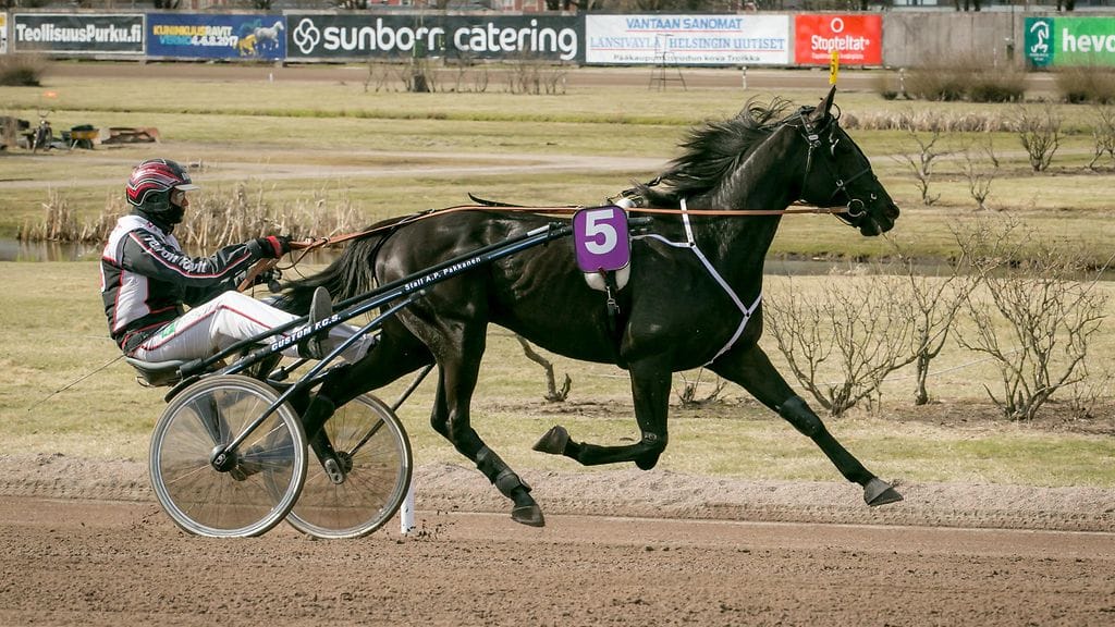 Hotshot Luca rattaillaan Mika Forss ravasi 45 000 euron arvoiseen voittoon Kymenlaakso-ajossa. Arkistokuva.