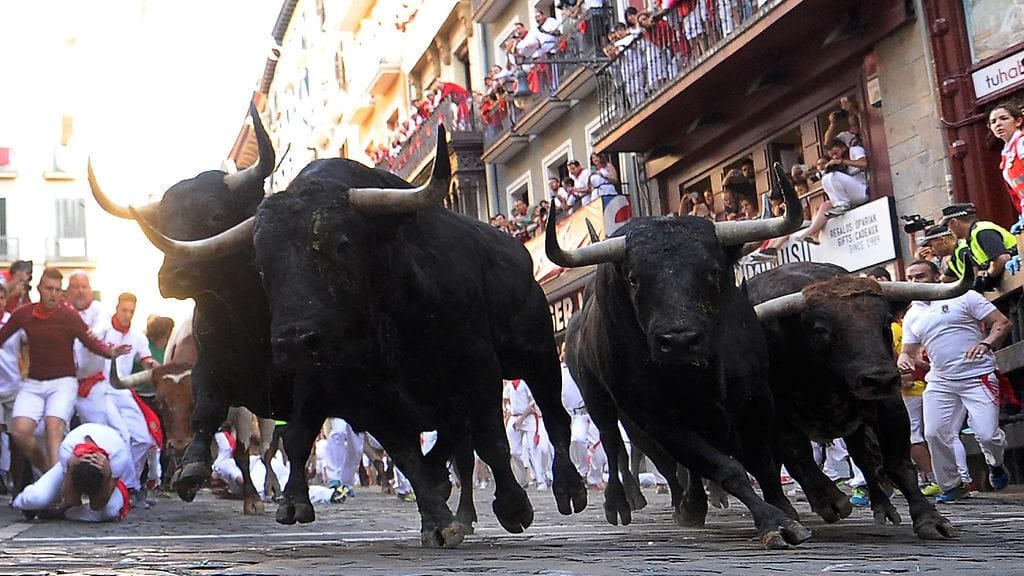 Härät olivat vauhdissa Espanjan Pamplonassa keskiviikkona.