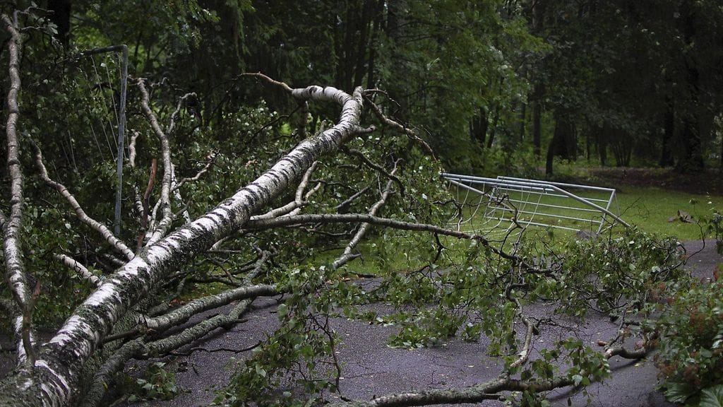 Puun kaatuminen ei ole automaattisesti viranomais- tai hälytystehtävä.