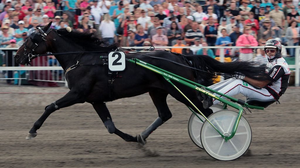 Sue's Photo ja Mika Forss