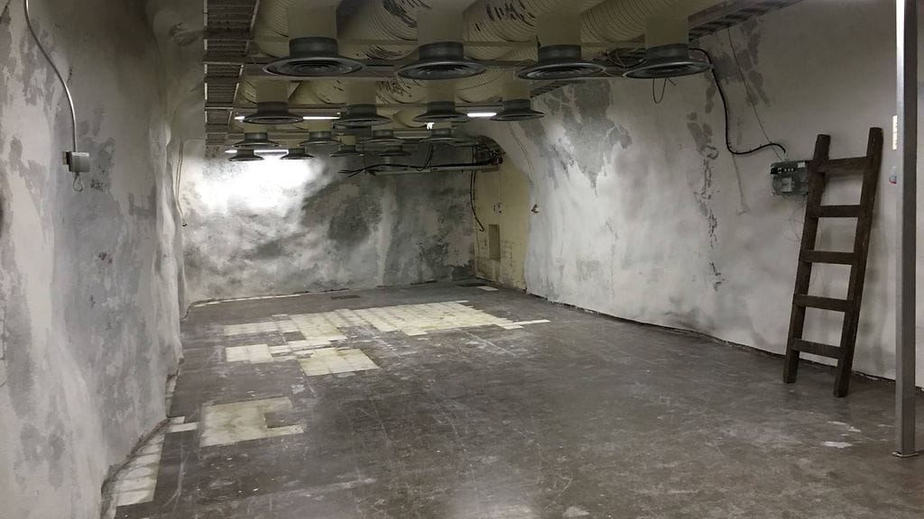 664edf6b-4299-4a09-b23b-1c6c58cc9b62-large__r_0 (1)