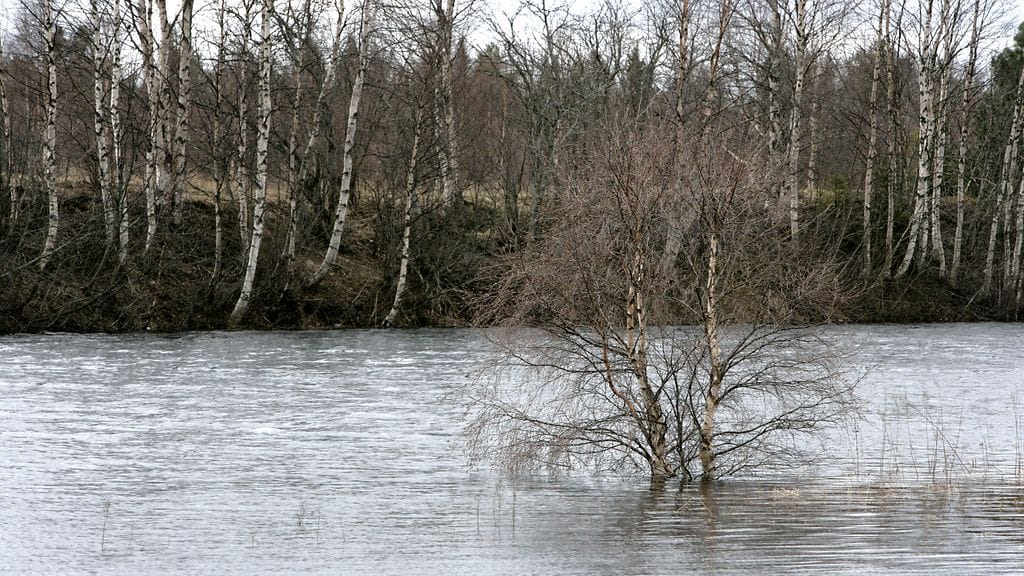 Ilmastonmuutos huolettaa monia nuoria.
