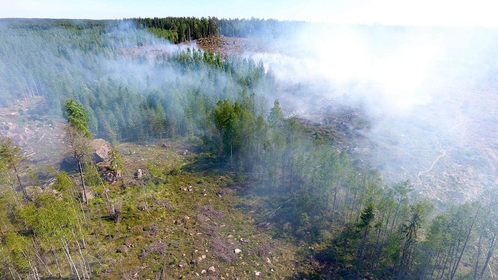 Muutama päivä sitten maastopalo riehui hakkuuaukealla Loviisan Koskenkylässä. Metsäpalovaroitus on voimassa koko maassa ja se on muuttumassa historiallisen korkeaksi.