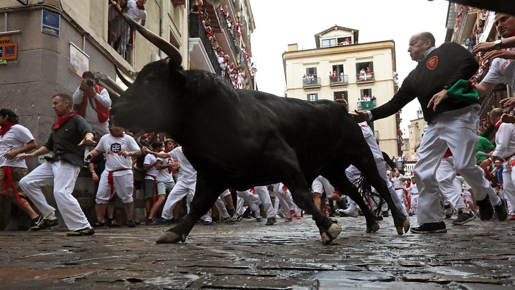 Pamplona härkäjuoksu 3