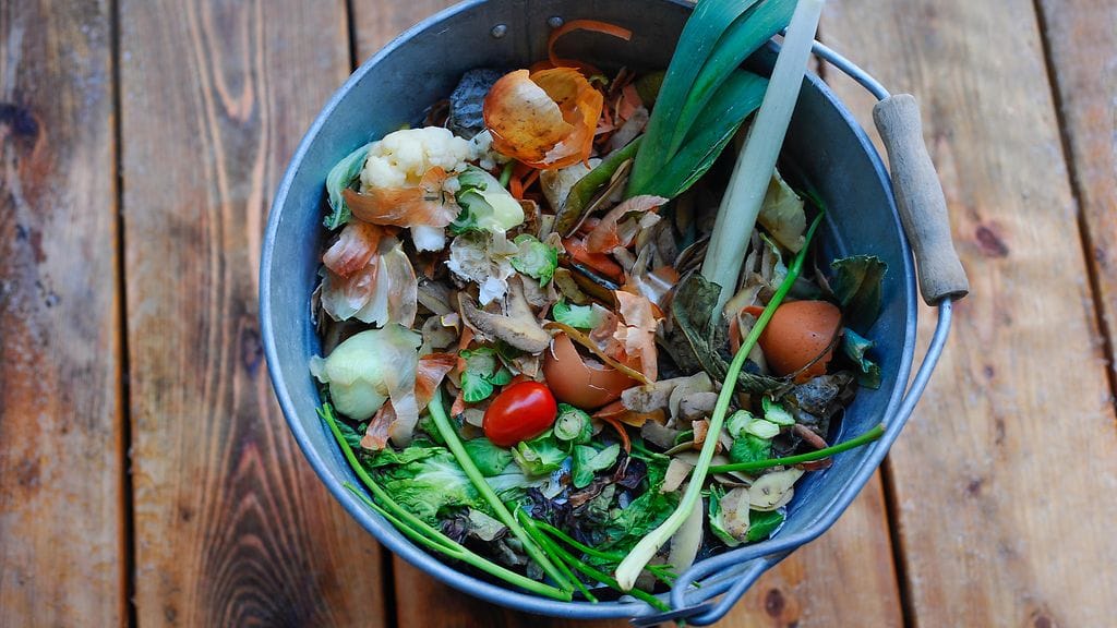 Ruoka hävikki bio komposti roskis