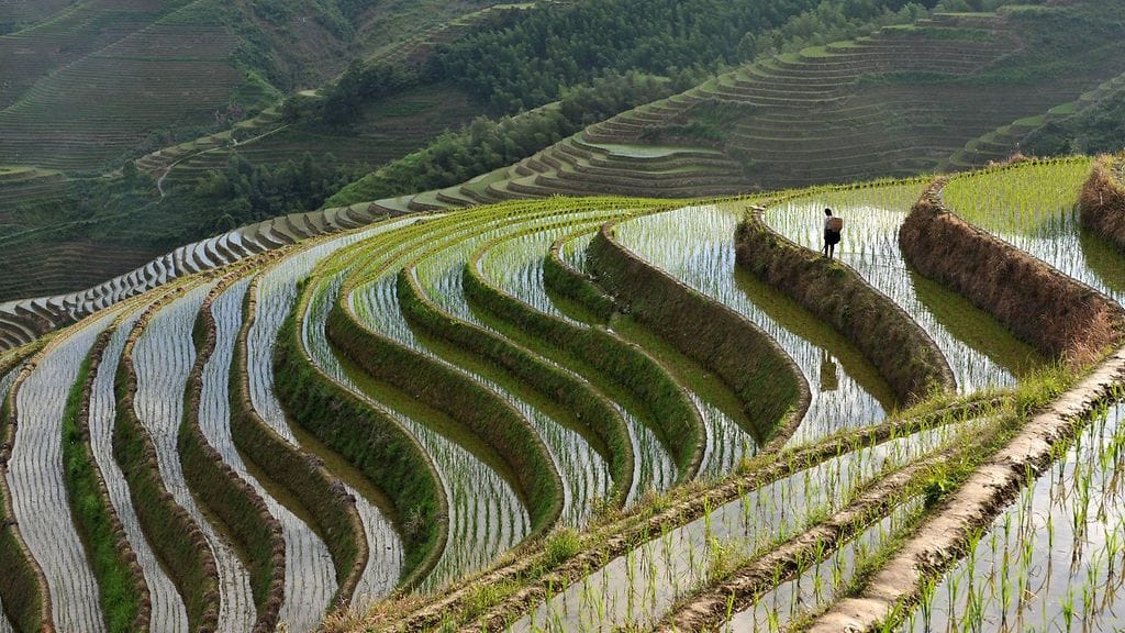 pengerretty maisema, Kiina