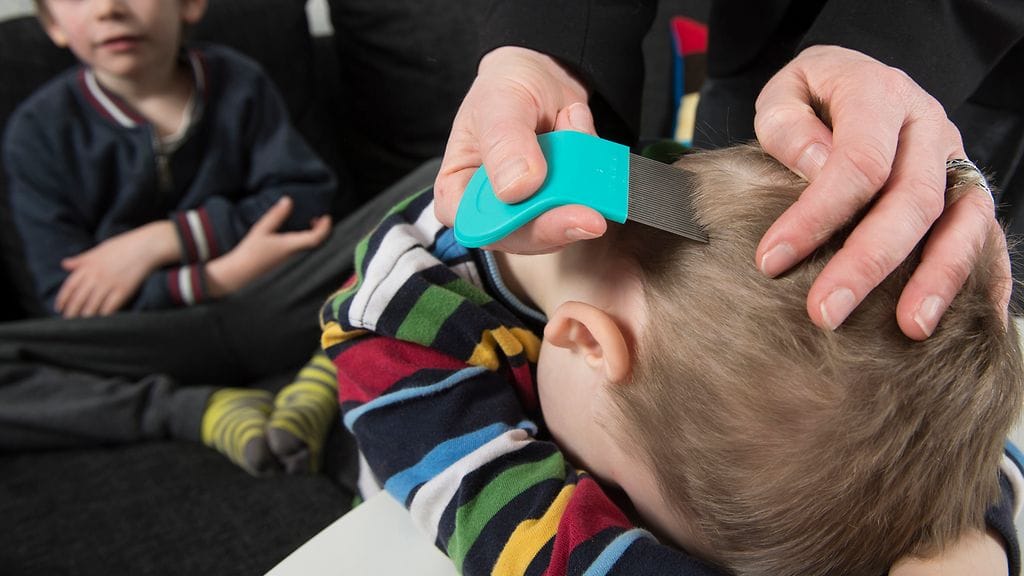 Kysyimme lukijoiltamme, onko heidän perheessään ollut ongelmaa täiden tai kihomatojen vuoksi. Kuvituskuva.