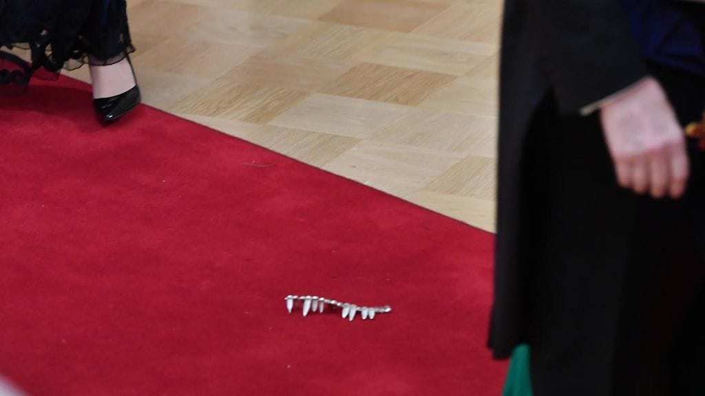 irronnut koriste linnan juhlissa (4)