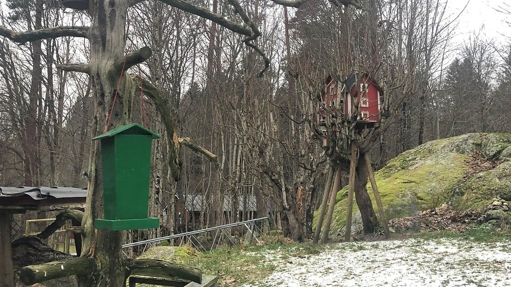 Kaleniuksen ruokintapaikka