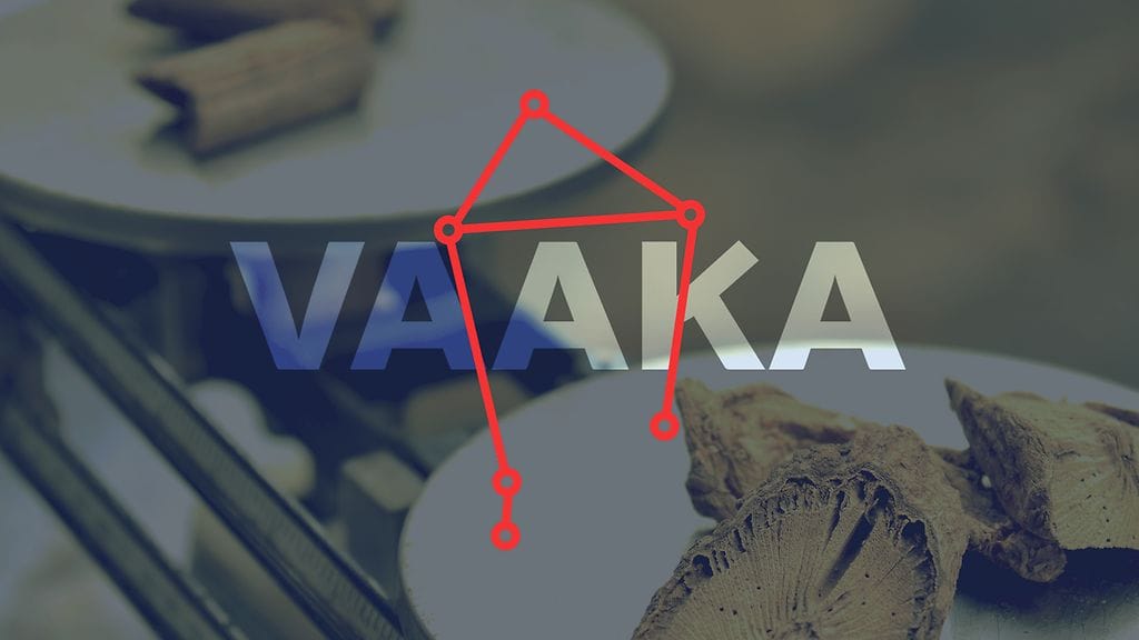 Perhe-elämä on vaaoille tänä vuonna tärkeää.