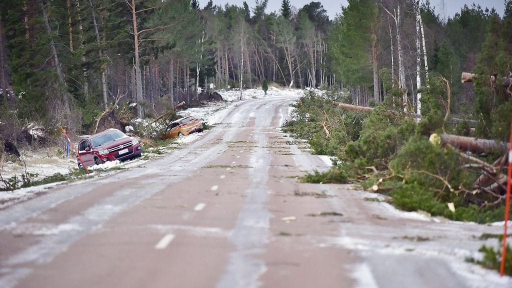 Ahvenanmaa myrskytuhot LK