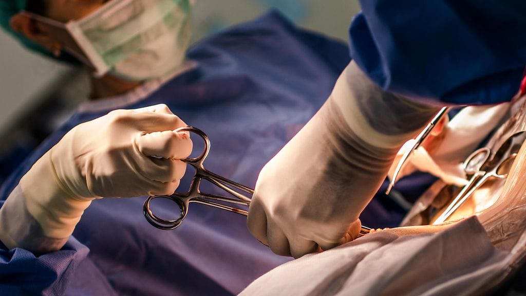 shutterstock_309817259