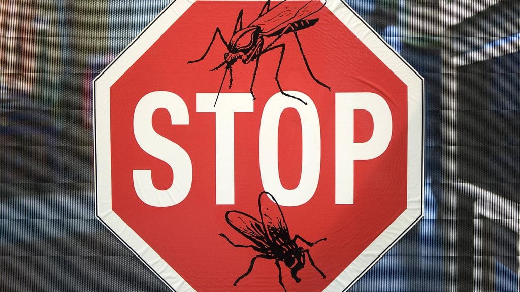 AOP malaria hyttynen seis