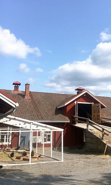 mattilan-majatalo-kanat